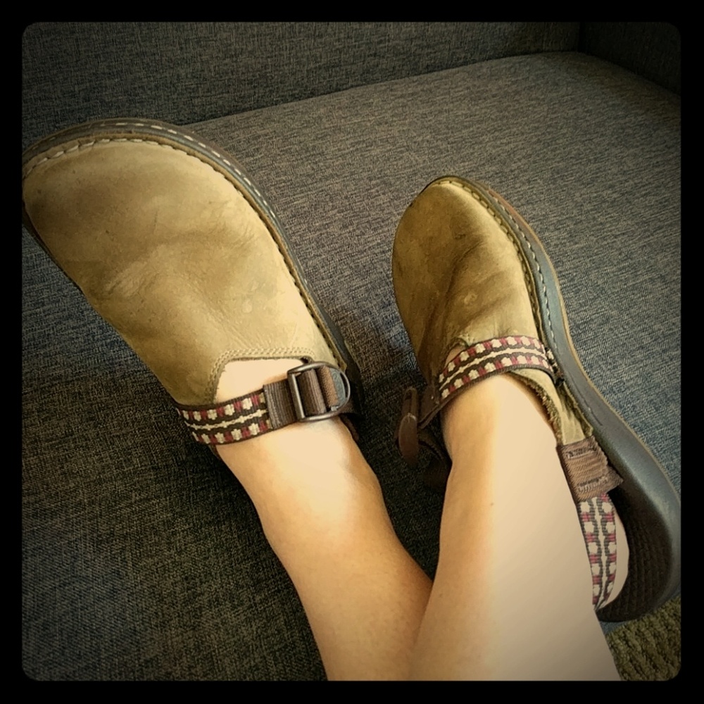 Chaco mules